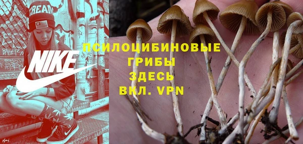 бутират Пролетарск