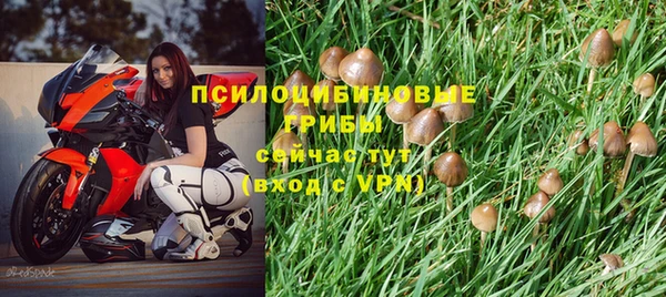 соль курить ск Фёдоровский