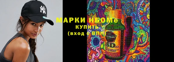 бошки Бородино