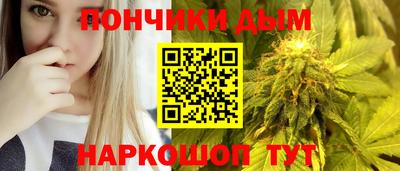 молекула духа Гатчина