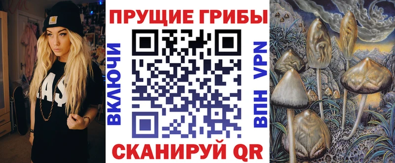 МЕГА сайт  Алексеевка  Галлюциногенные грибы ЛСД 