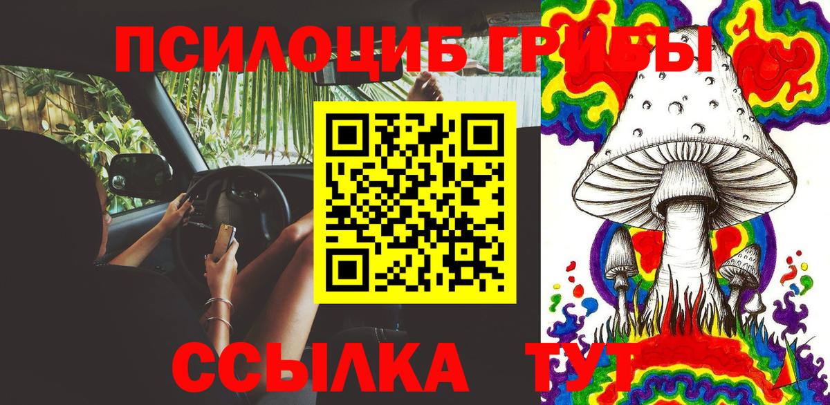 Псилоцибиновые грибы Magic Shrooms  Вход с VPN  Алексеевка  Галлюциногенные грибы Psilocybe 
