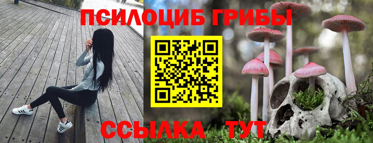 Галлюциногенные грибы Magic Shrooms Алексеевка