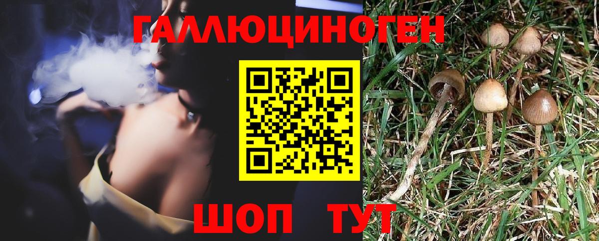 Галлюциногенные грибы GOLDEN TEACHER  даркнет сайт  Псилоцибиновые грибы Psilocybine cubensis  Алексеевка 