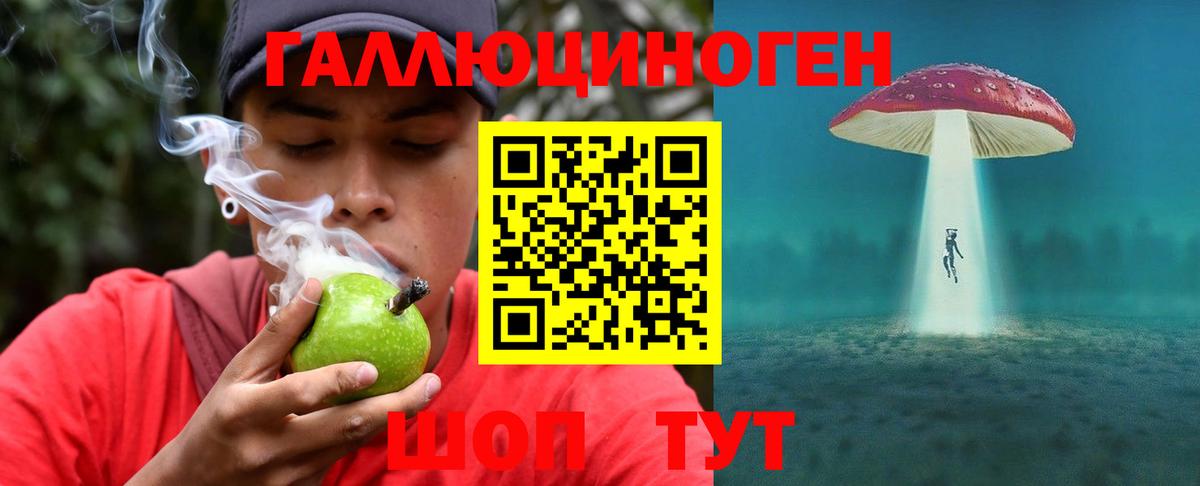 Алексеевка  Псилоцибиновые грибы ЛСД  Вход с VPN 