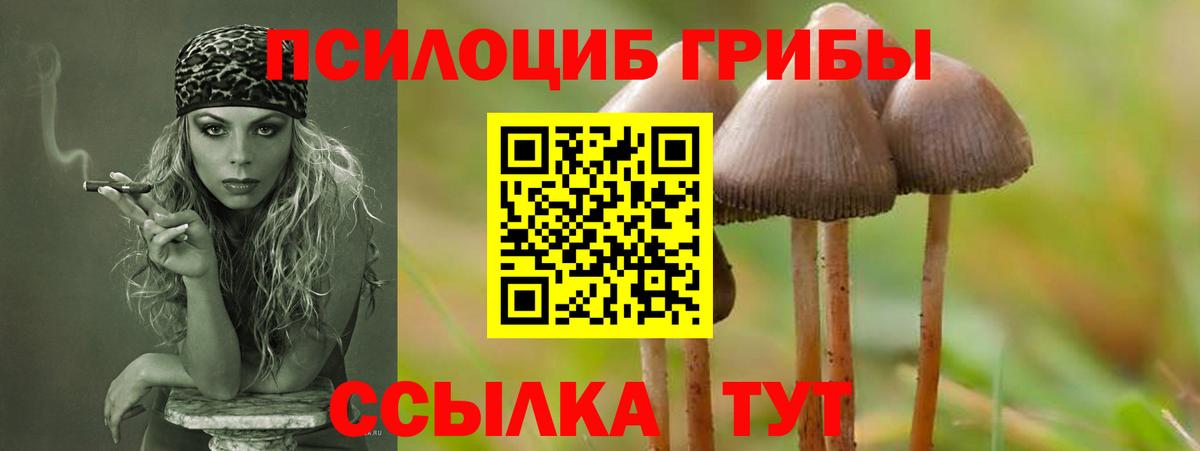 Галлюциногенные грибы Psilocybine cubensis Алексеевка